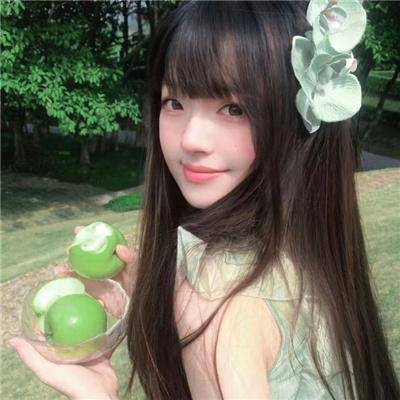 雁南飞
